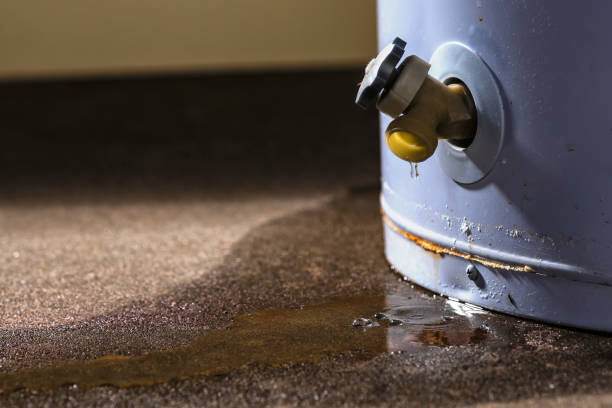 Best Sewage cleanup and water damage restoration  in Shorewood, WI