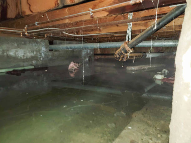 Best Water damage restoration near me  in Shorewood, WI