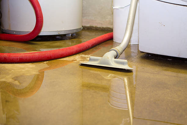 Best Water damage cleanup near me  in Shorewood, WI