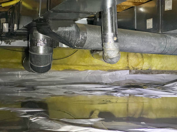 Best Commercial water damage restoration  in Shorewood, WI