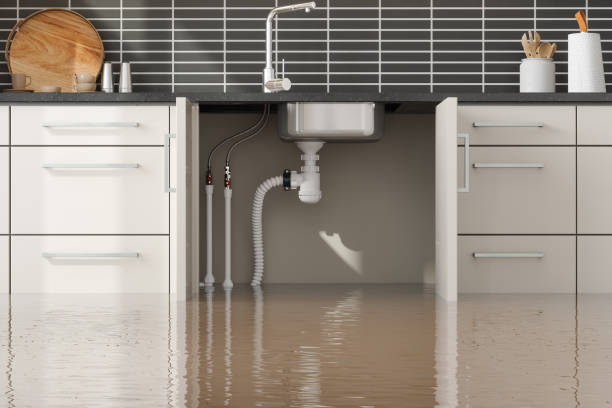 Best Water damage cleanup near me  in Shorewood, WI