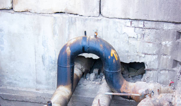 Best Basement water damage restoration  in Shorewood, WI
