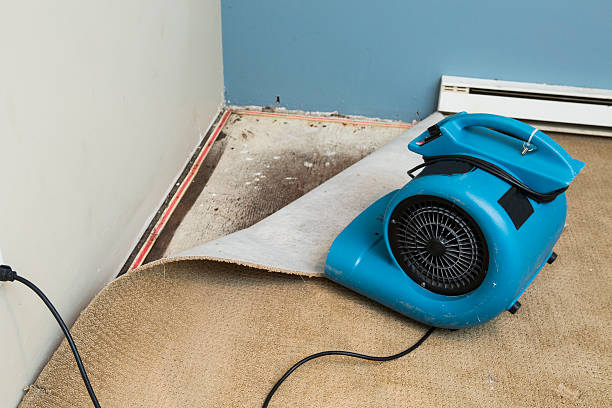 Best Local water damage restoration  in Shorewood, WI